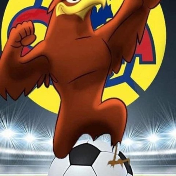 Meet your Posher, David - Picture 1 of 1